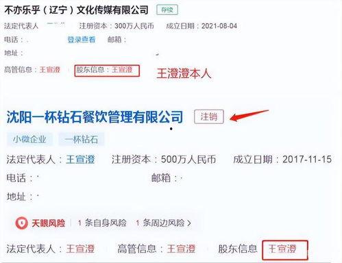 王澄澄老公爆料视频播放,揭秘背后惊人真相